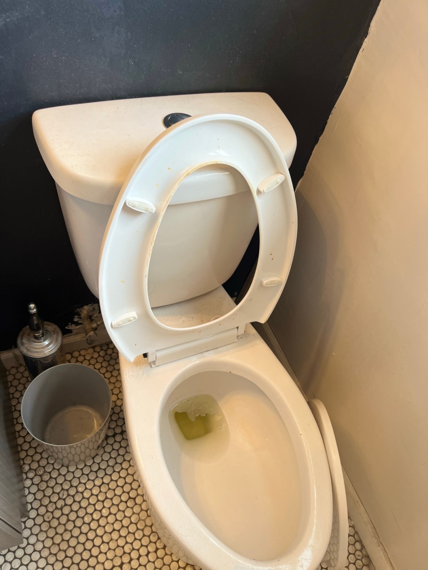Rental bathroom toilet — before